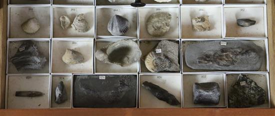 A collection of minerals, rocks and fossils by James Tennant of London, 1869, cabinet width 15in. depth 11.5in. height 16in.
